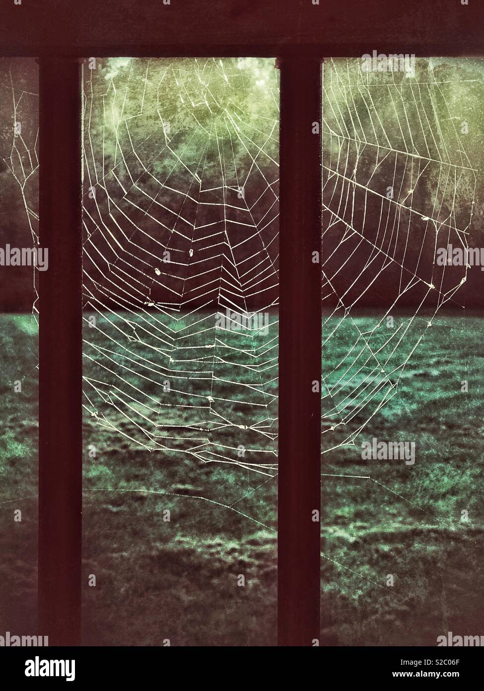 Spiderweb durch Licht beleuchtet - Smartphone-aufgenommenes Stockfoto