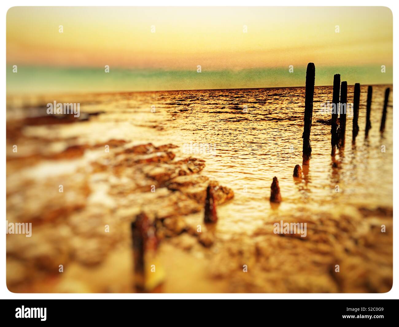 Hölzerne Buhnen, Bawdsey Fähre, Suffolk, England. - Smartphone-aufgenommenes Stockfoto