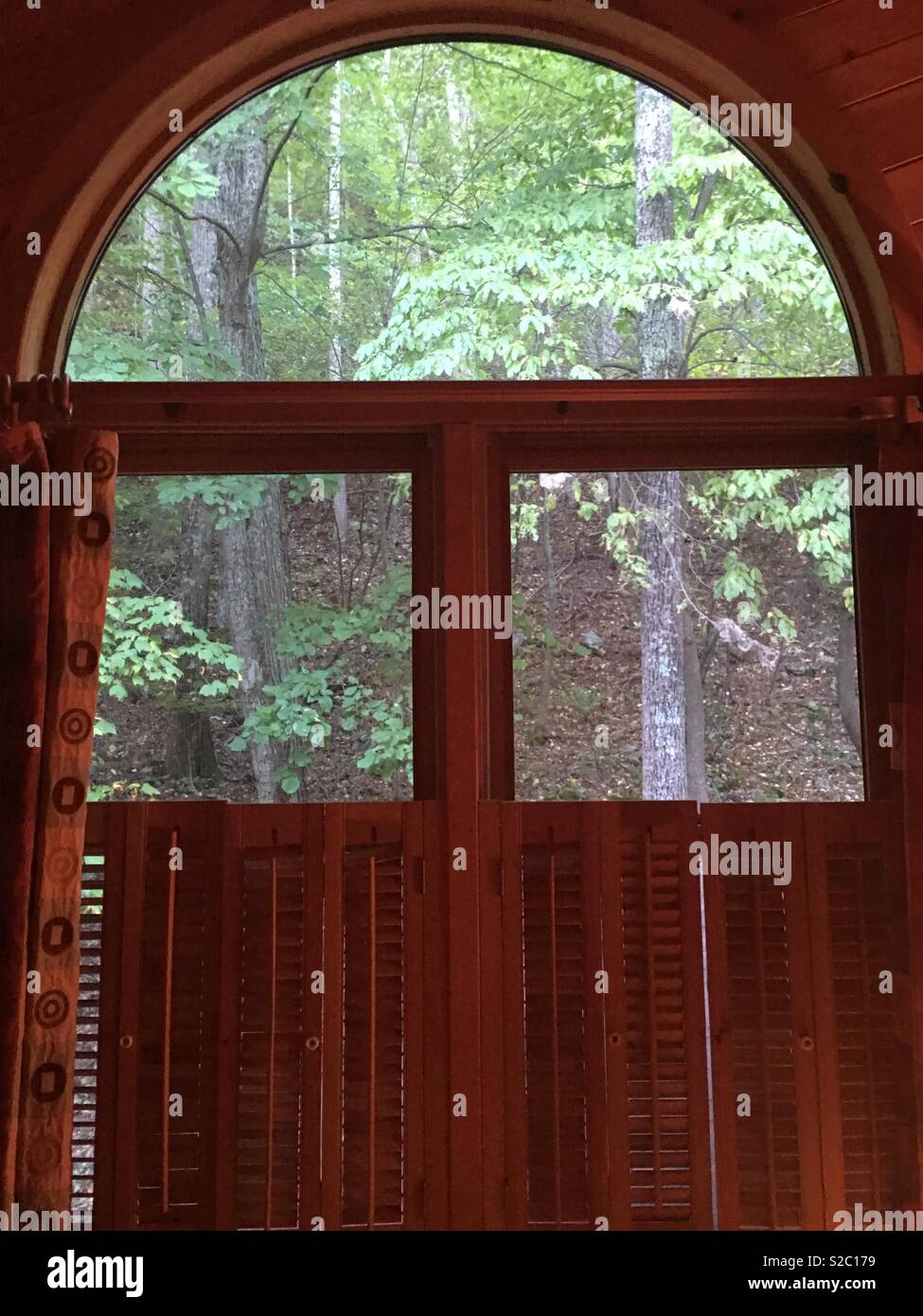 Wald morgen Grün durch ein Fenster für Serenity gesehen. Stockfoto