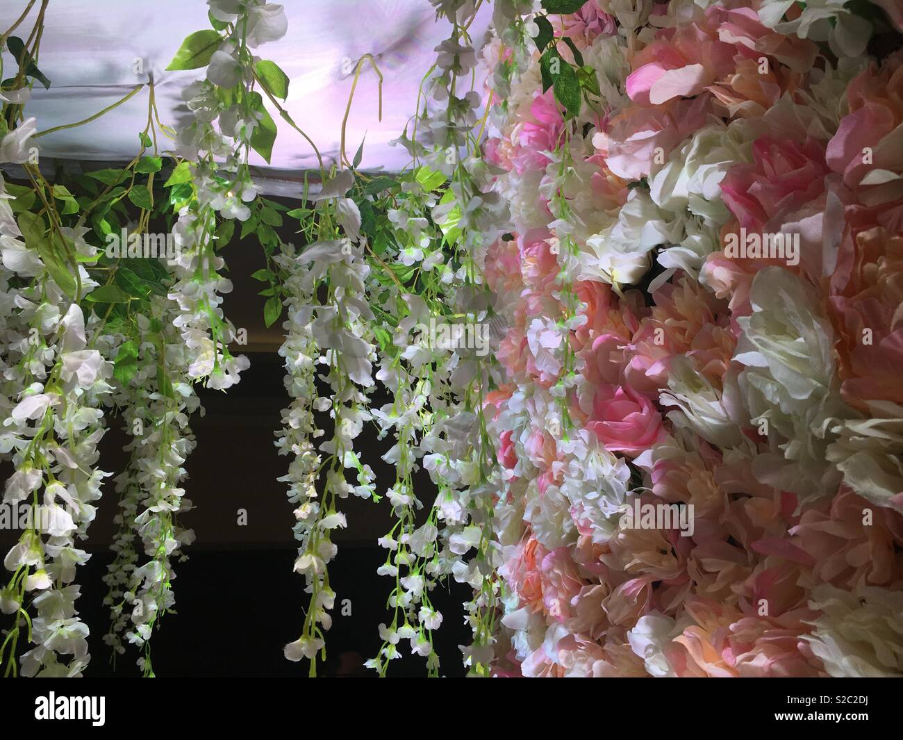 Blume menage - Smartphone-aufgenommenes Stockfoto