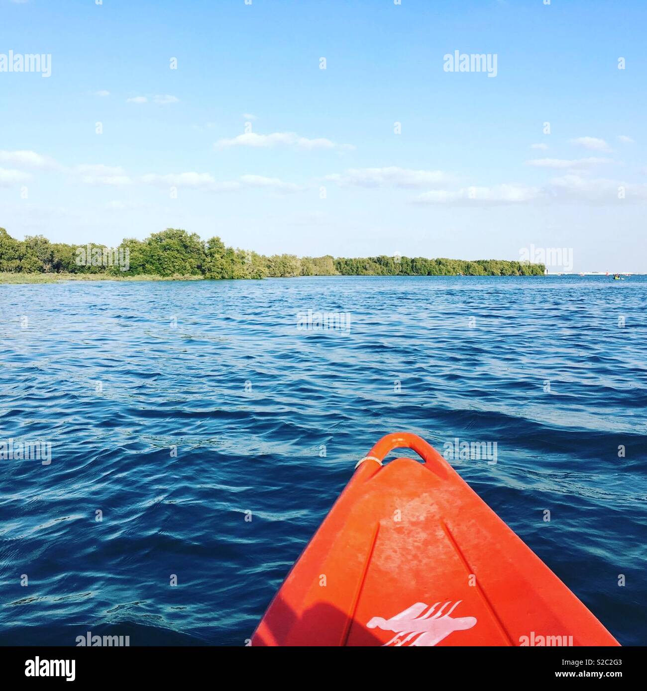 Sea Kayak auf mangrovenwald Stockfoto