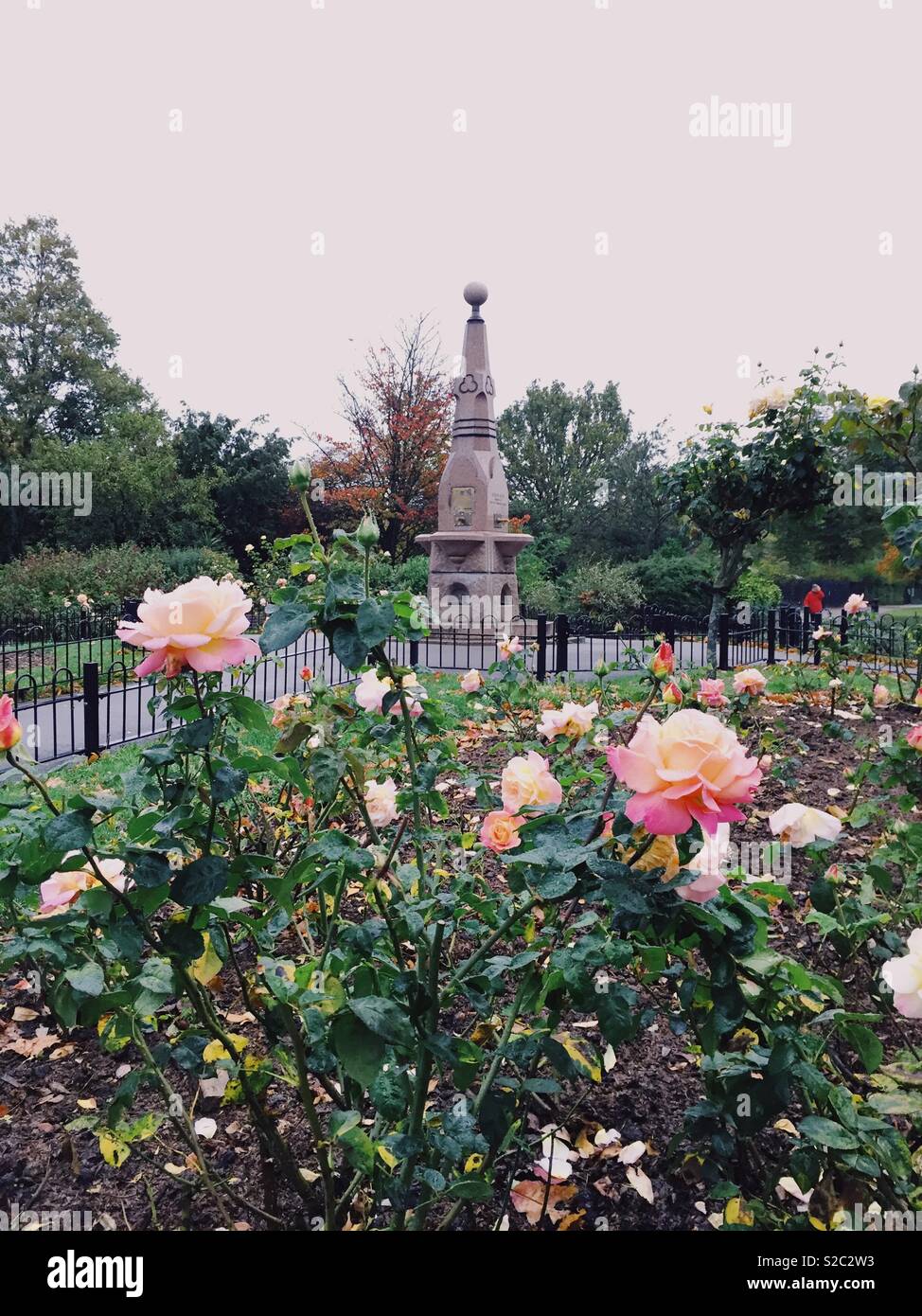 Rose Bed im Herbst in Clissold Park, Stoke Newington, nördlich von London, Großbritannien - Smartphone-aufgenommenes Stockfoto
