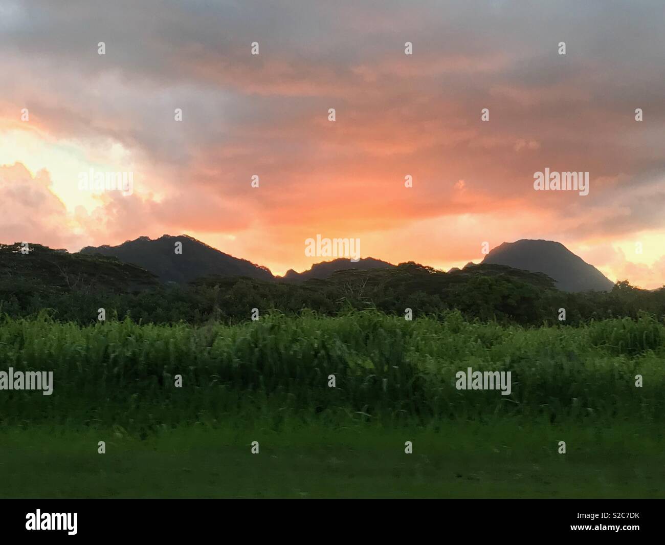 Sonnenaufgang über den Bergen in Kauai - Smartphone-aufgenommenes Stockfoto