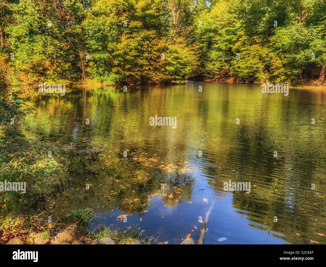 Herbst kommt. Stockfoto