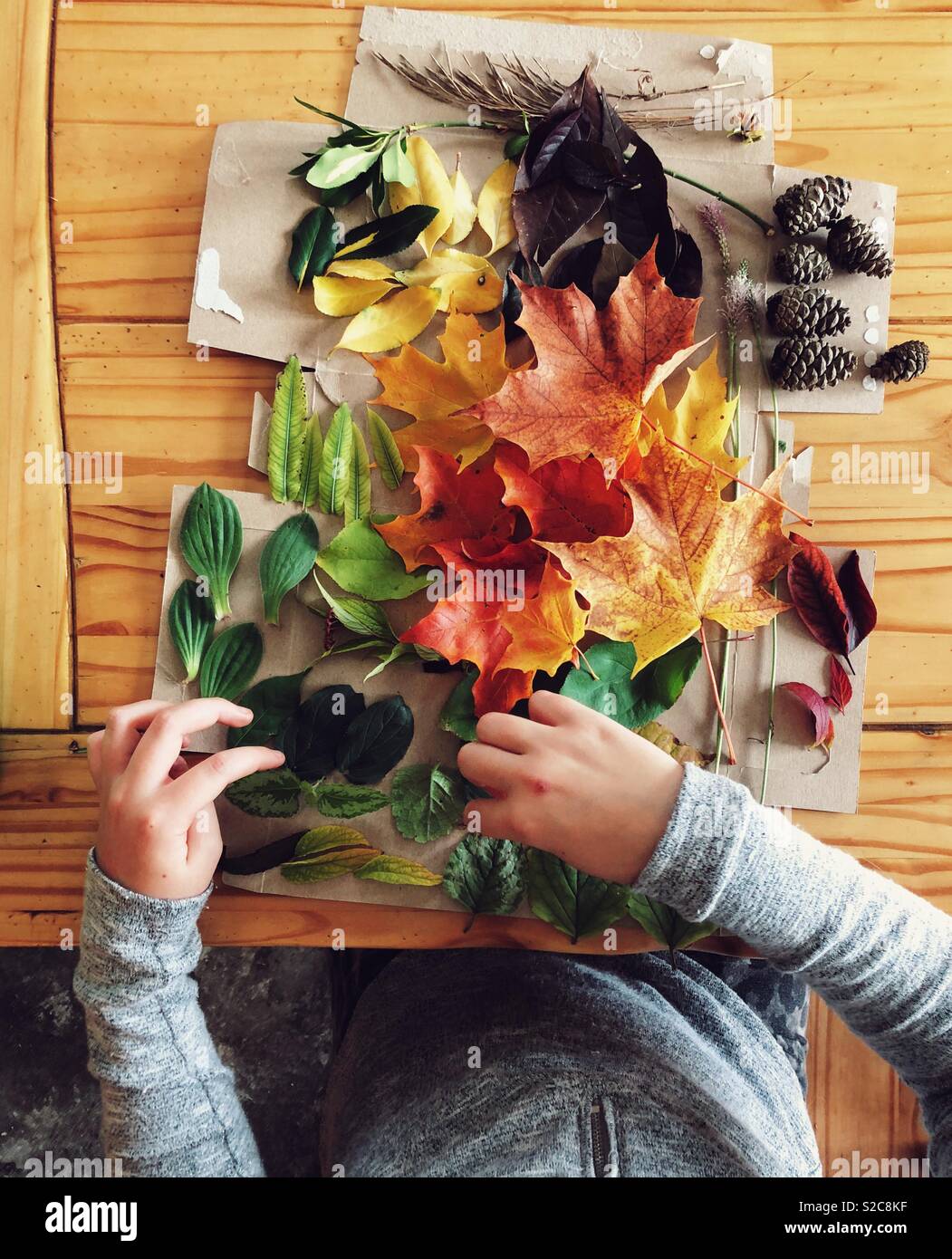 Perspektivische Ansicht des Kindes, die die bunten Blätter im Herbst auf einem Holztisch - Smartphone-aufgenommenes Stockfoto