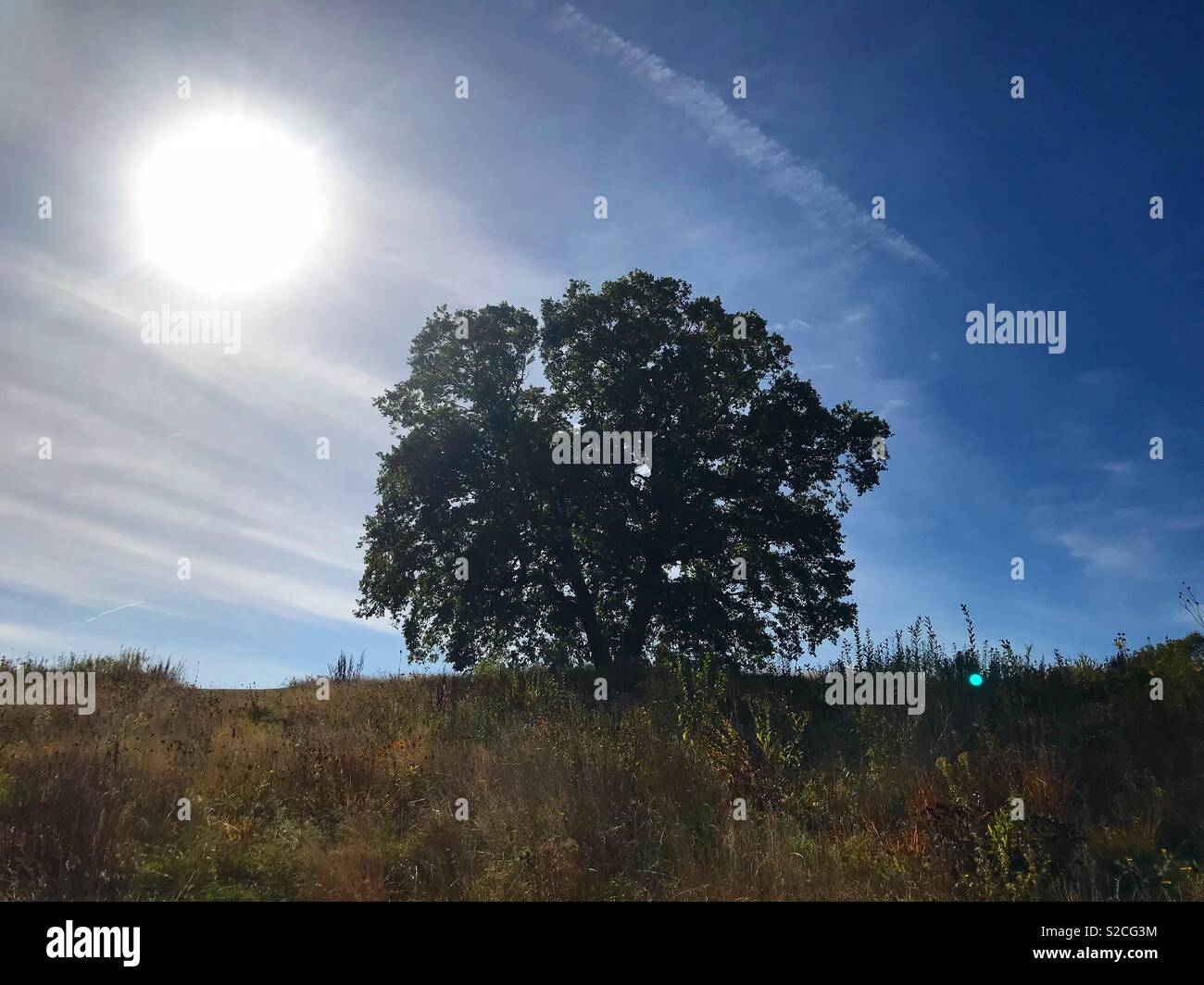 Lonely Planet Stockfoto