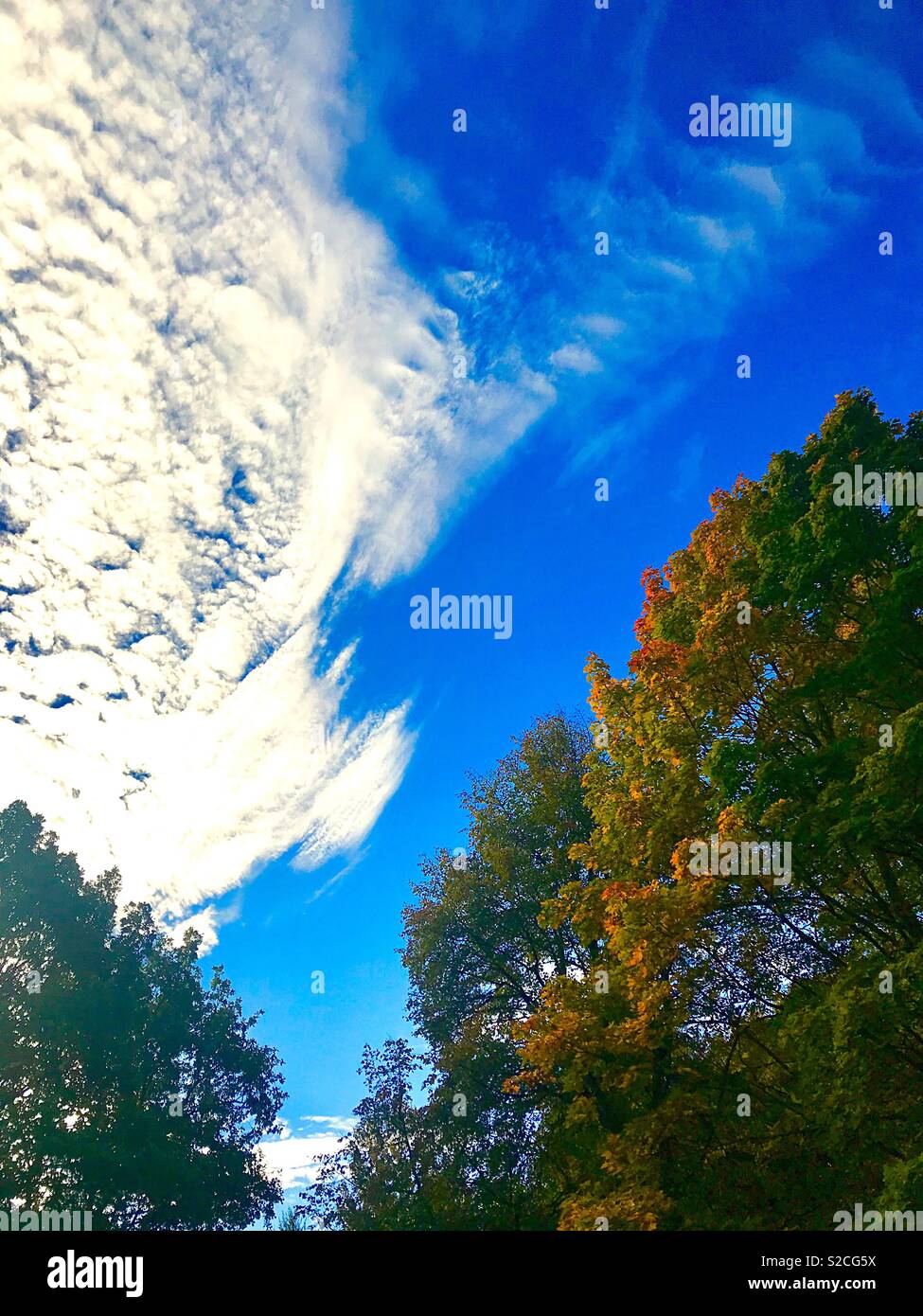 Herbstmorgen - Smartphone-aufgenommenes Stockfoto