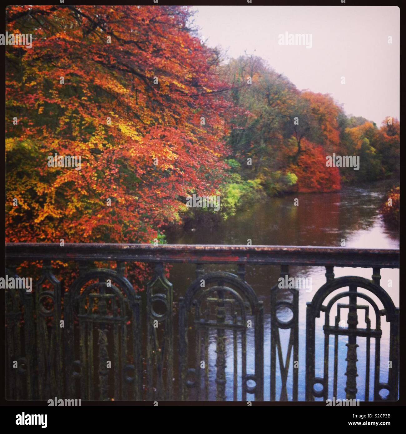 Kelvin Fluss im Herbst Stockfoto