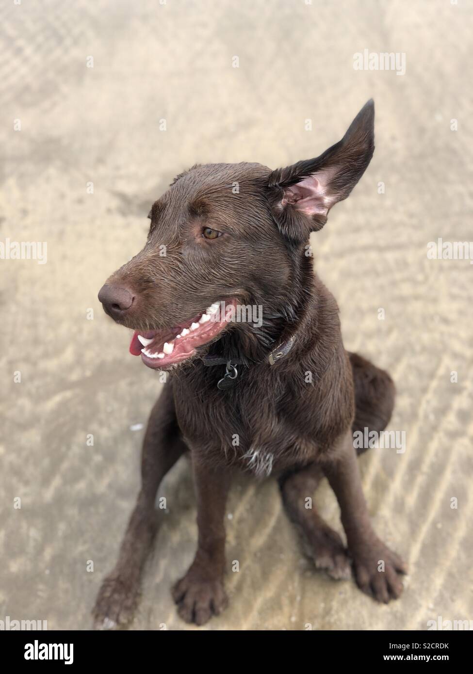 Spüren Sie den Wind in meinen Ohren... Stockfoto