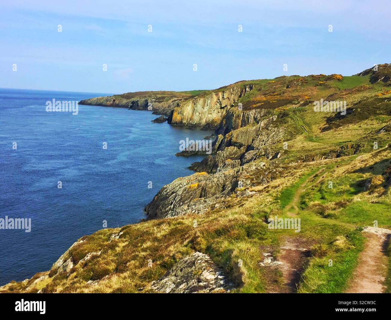 Frühling von Porth Wen Bull Bay 2018 Stockfoto