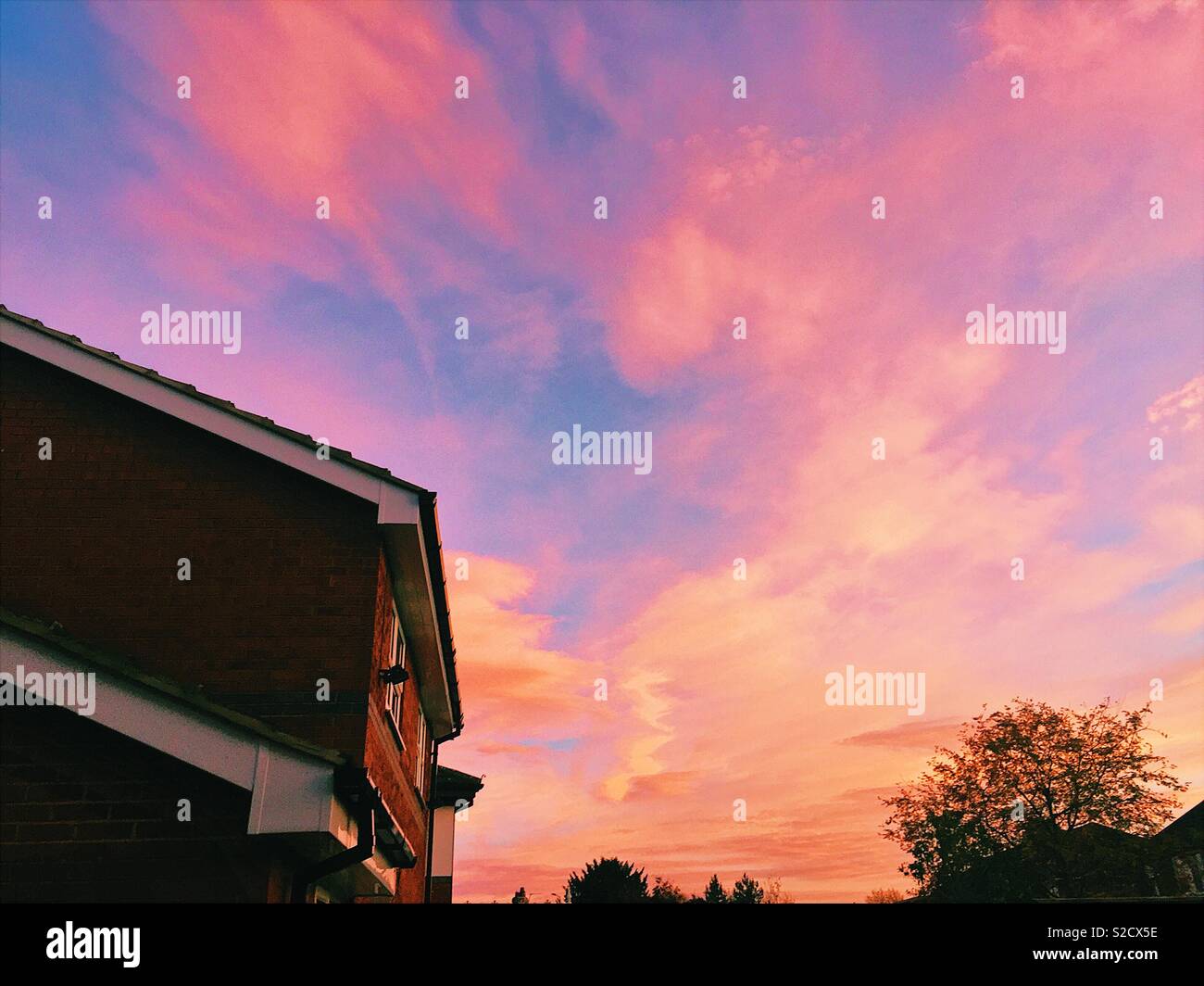 Bunte rosa Himmel bei Sonnenuntergang in Suburban Area in York. Stockfoto