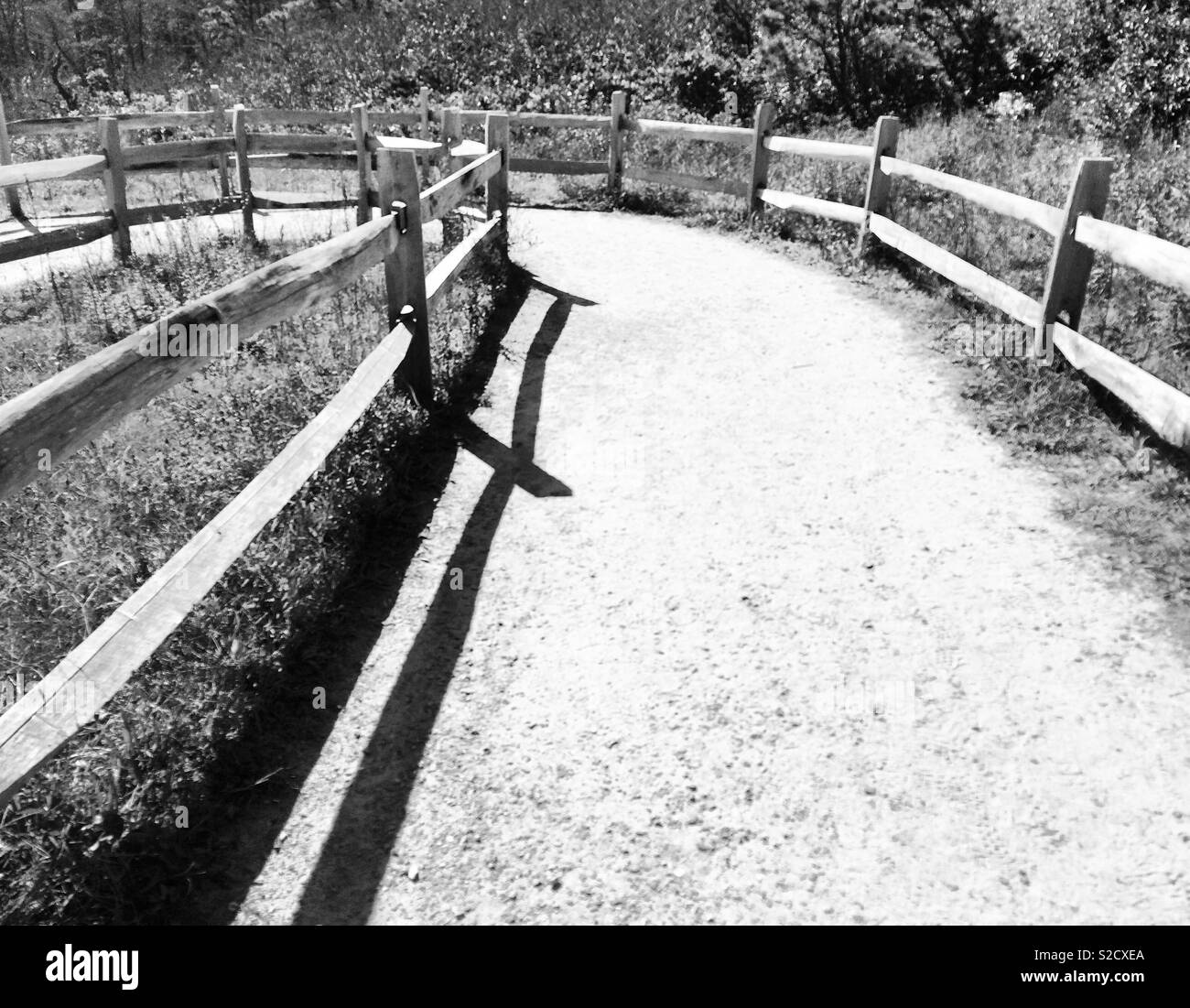 Wanderweg, Nauset Light Beach, Cape Cod National Seashore, Eastham, Massachusetts, Vereinigte Staaten von Amerika Stockfoto