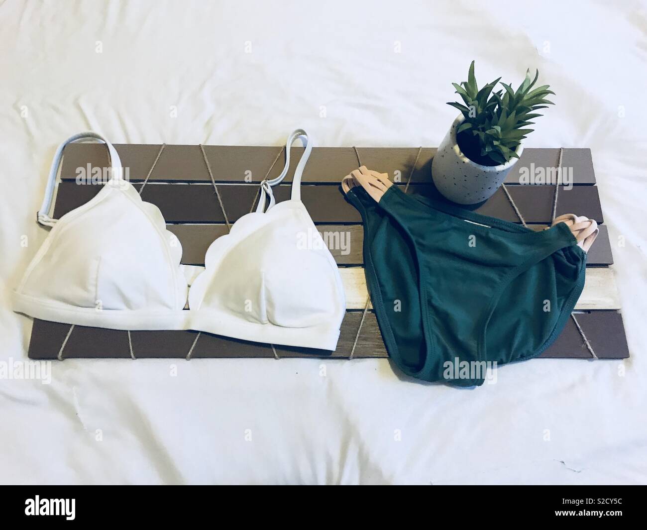 Minimalistische, Strand Kleidung und Lifestyle. Schönen, grünen und weißen Badeanzug, bikini angezeigt auf einem Holzbrett mit einem grünen Topfpflanzen saftig. Stockfoto