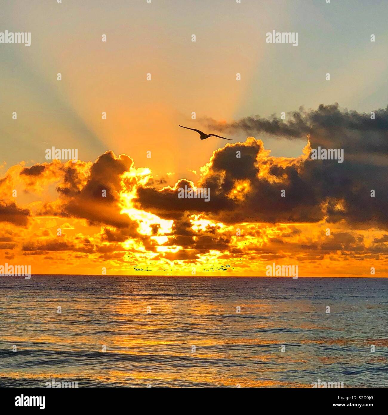 Schone Engel In Den Himmel Nach Dem Unendlichen Horizont Suchen Stockfotografie Alamy