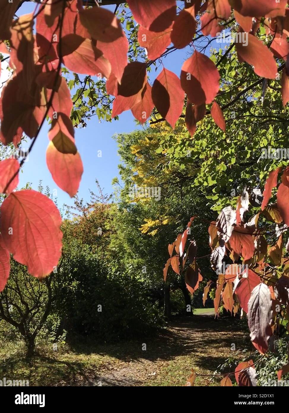 Herbstliche Pracht Stockfoto