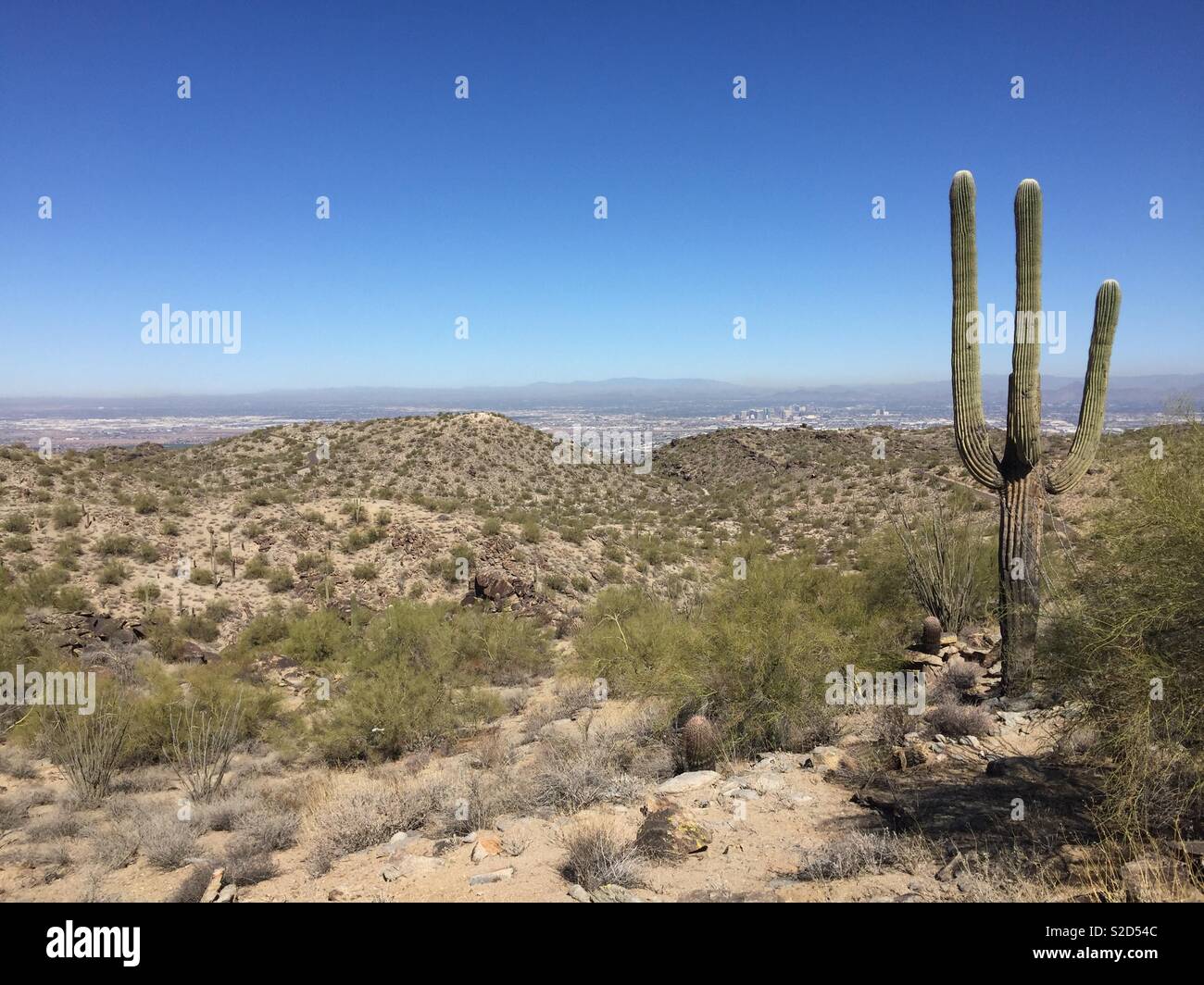 Arizona Landschaft mit Downtown Phoenix im Abstand Stockfoto
