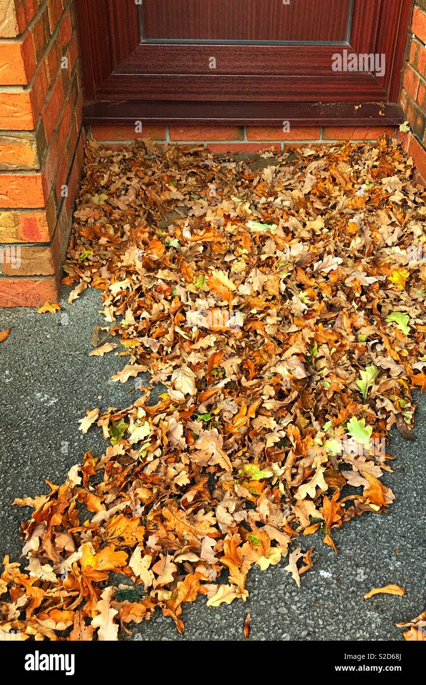 Blätter durch die vordere Tür nach einem Herbst wind Stockfoto