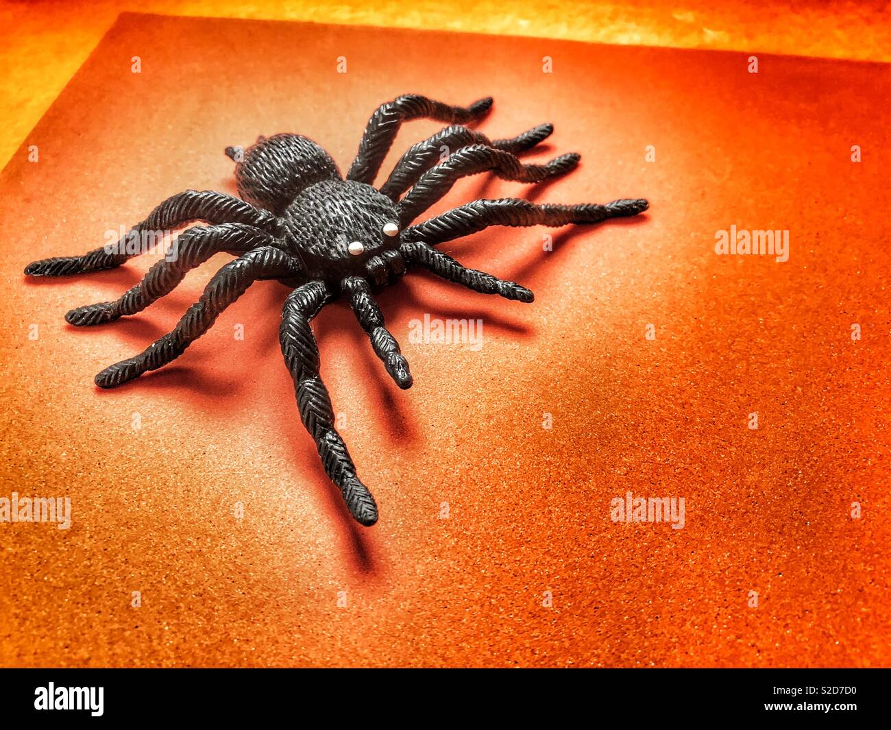 Hallowe'en themed große schwarze Spinne auf orangem Hintergrund mit Kopie Raum - Smartphone-aufgenommenes Stockfoto