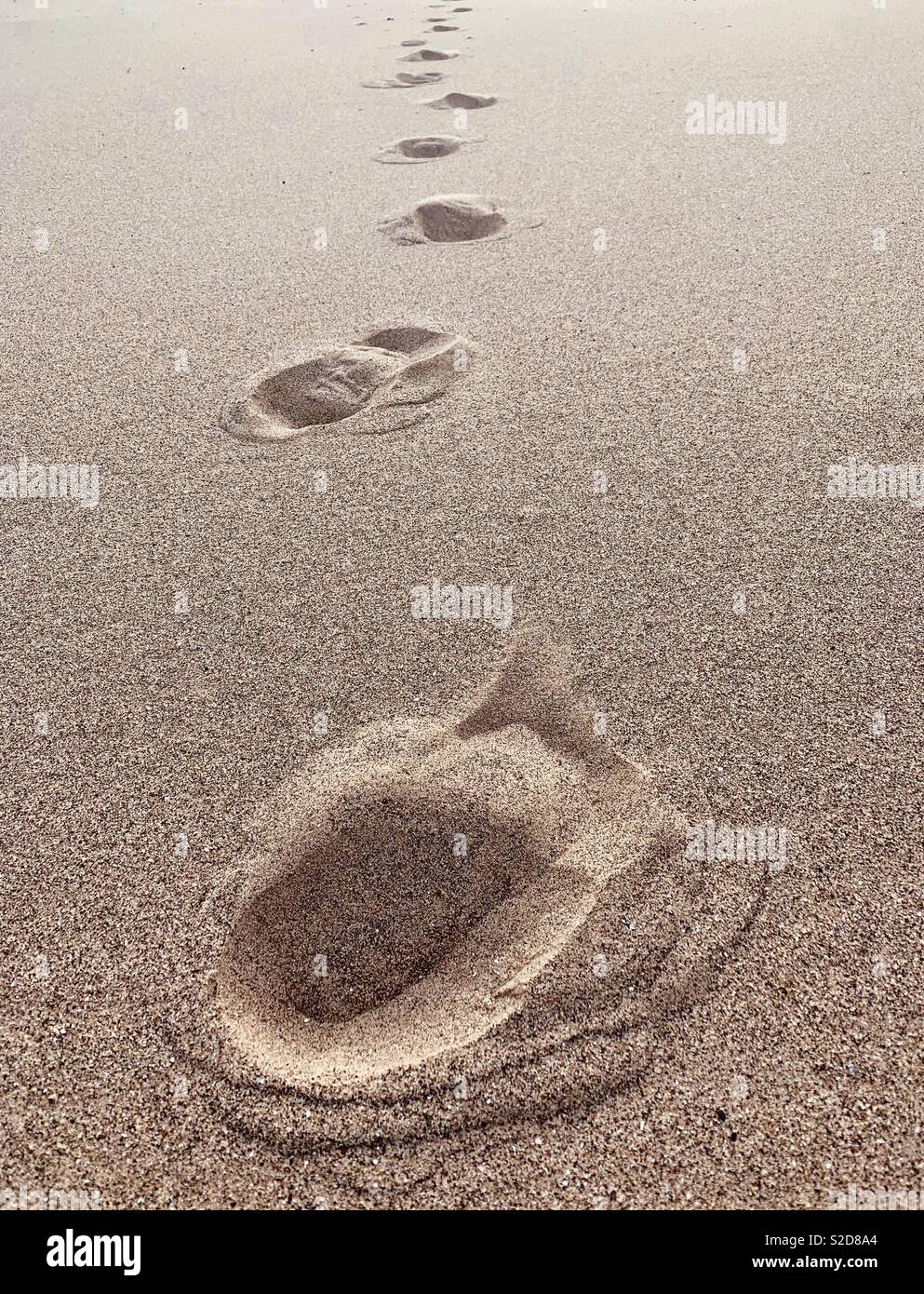 Einsame Spuren im Sand an einem Strand in Edinburgh. Stockfoto