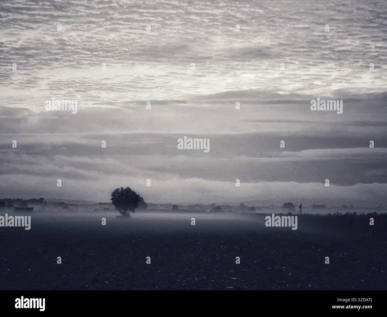 Campo fotografado Ao nascer do Dia com Nevoeiro. Feld bei Tagesanbruch mit Nebel. Stockfoto