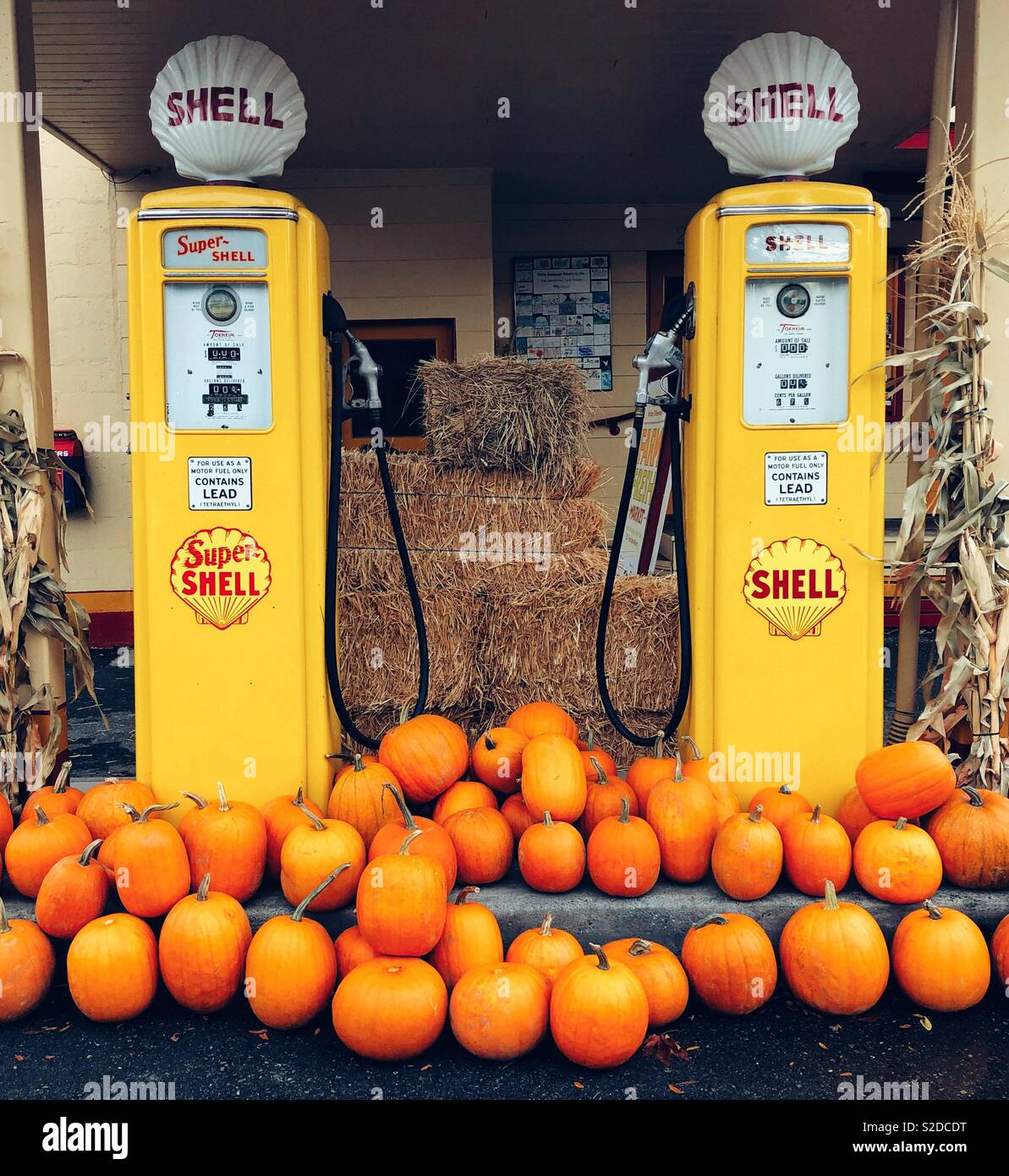 Vintage restauriert Shell Gas Station in Issaquah WA mit orange Kürbisse eingerichtet Stockfoto