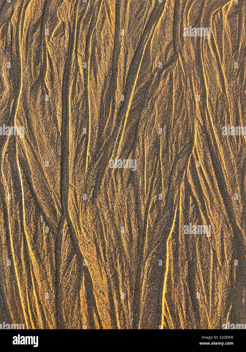 Muster in den Sand durch Wasser verursachte run off. Stockfoto
