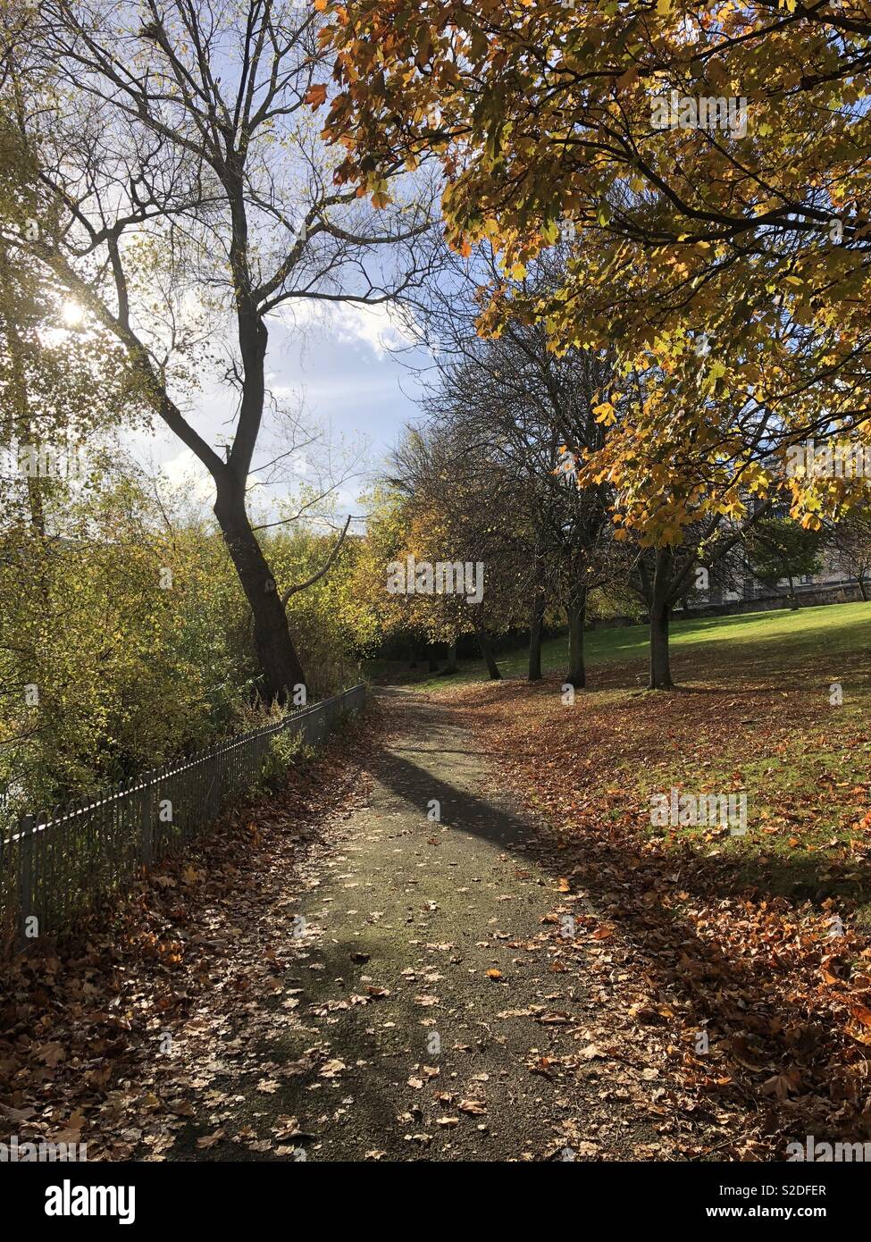 Herbst Schatten in Lochend Park Stockfoto