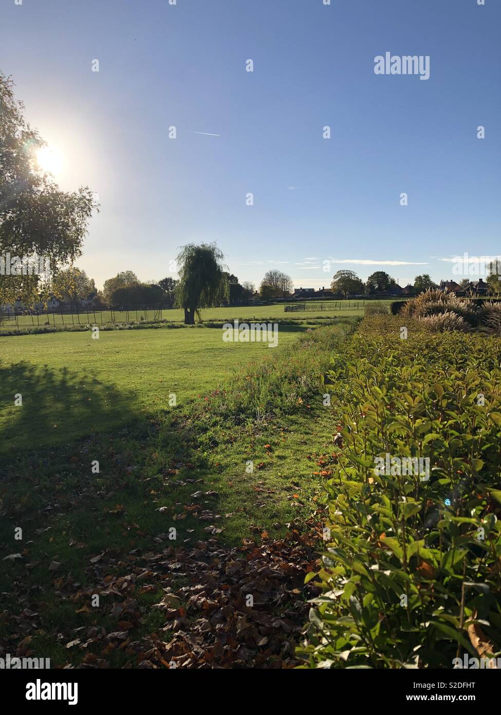 Sonnigen Park Stockfoto