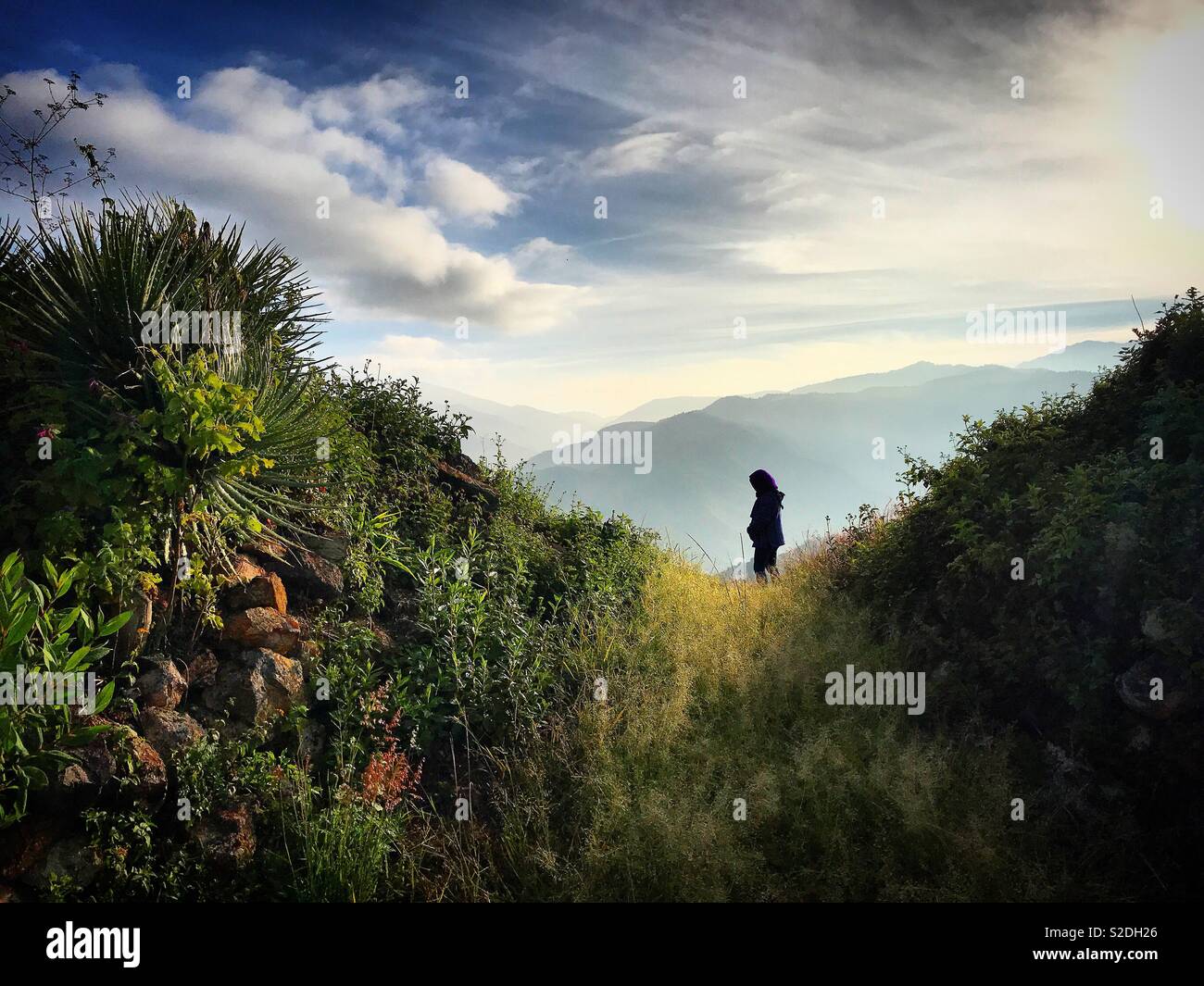 Ein Tourist besucht den Cerro del Jaguar in der Sierra Norte von Oaxaca, Mexiko Stockfoto