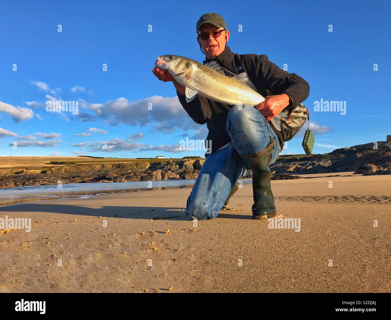 Angler mit großen Atlantischen Meer Bass aus einem Cornish Surf Strand gefangen, November. Stockfoto