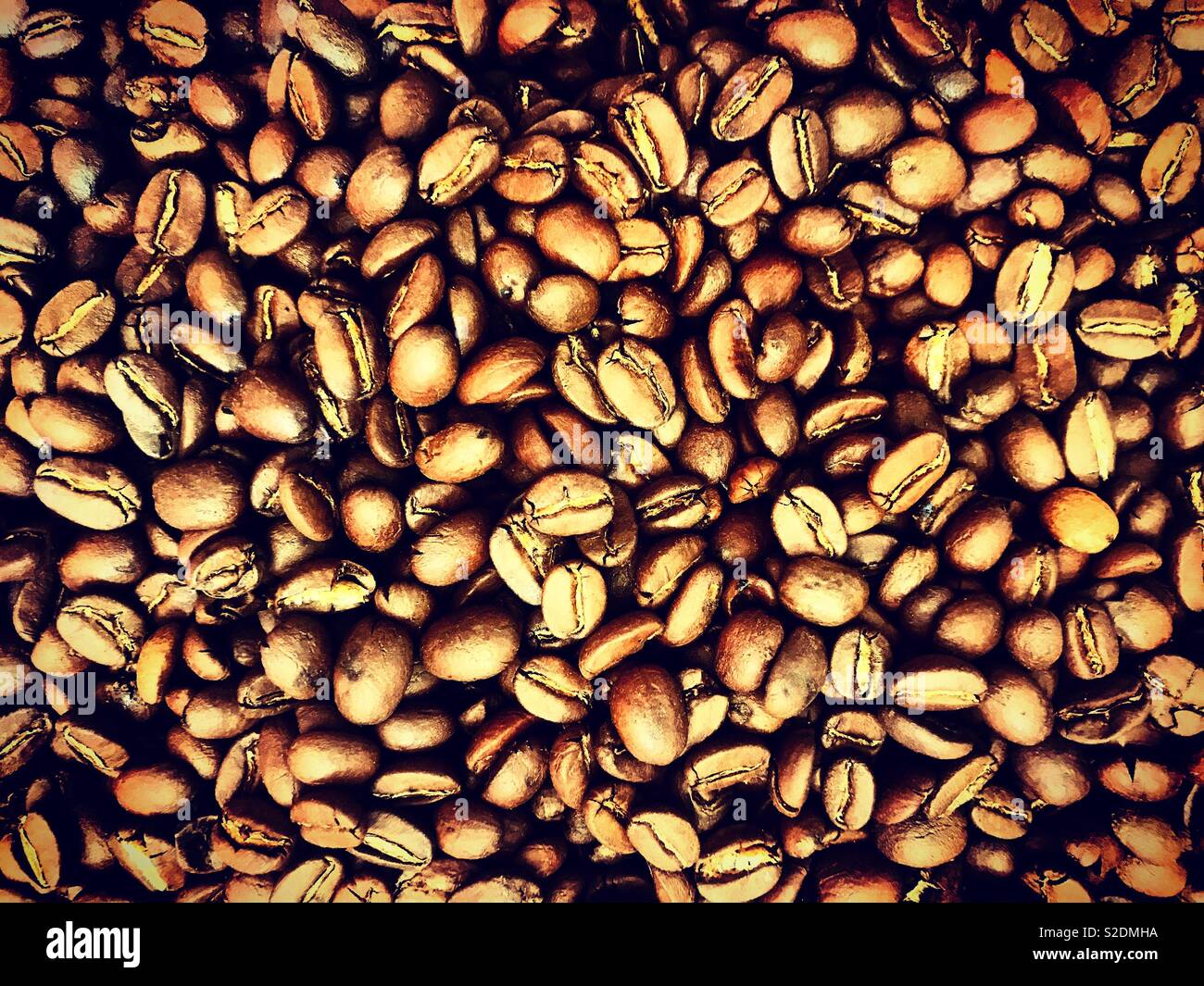 Geröstete Kaffeebohnen für Verkauf in Oaxaca, Mexiko Stockfoto