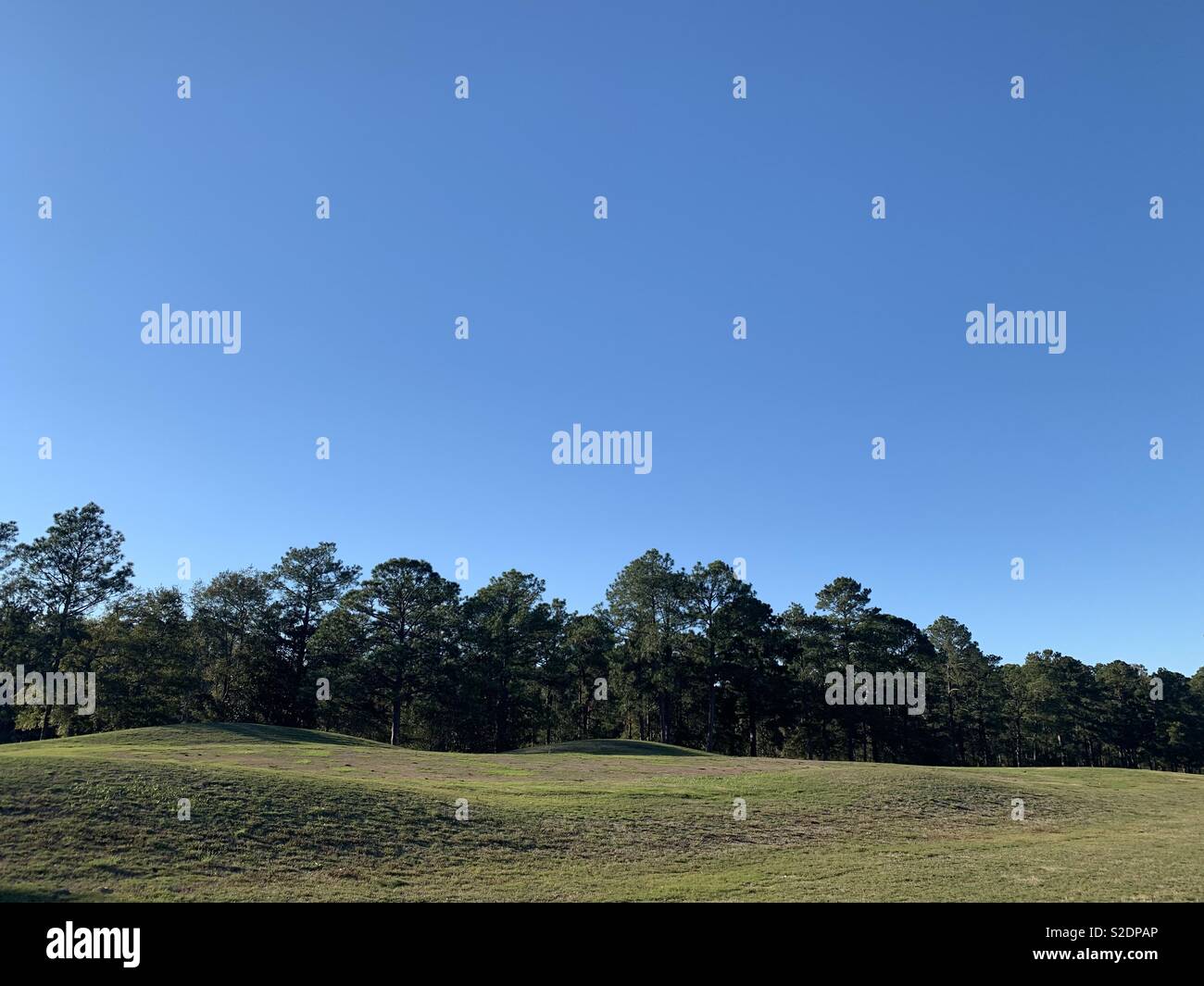 Ein Teil der er wellige grasbewachsenen Hügel von einem Golfplatz mit Bäumen im Hintergrund gegen am späten Nachmittag einen klaren blauen Himmel. Stockfoto