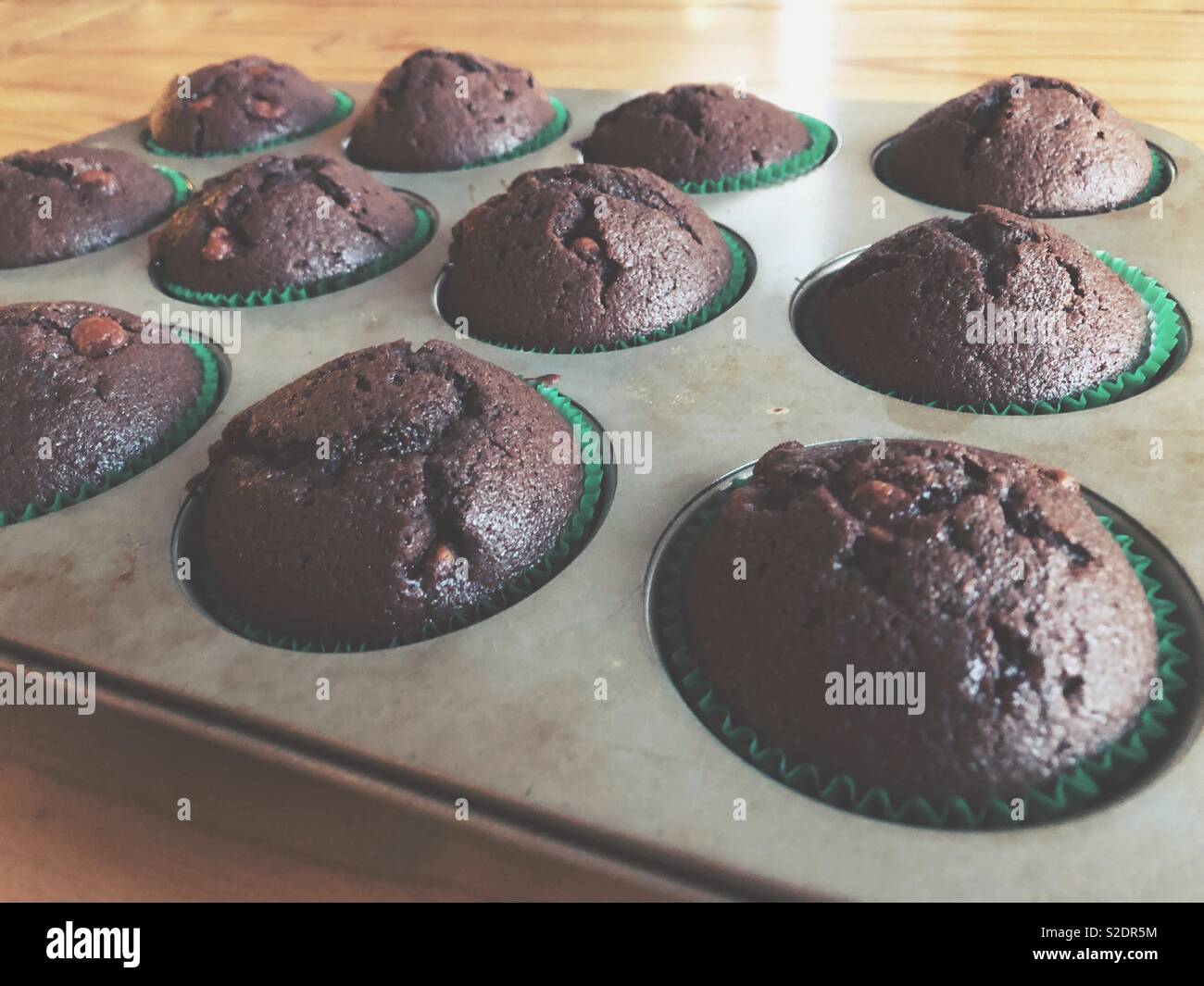Dutzend Chocolate Chip zucchini Muffins in eine Metallwanne - Smartphone-aufgenommenes Stockfoto