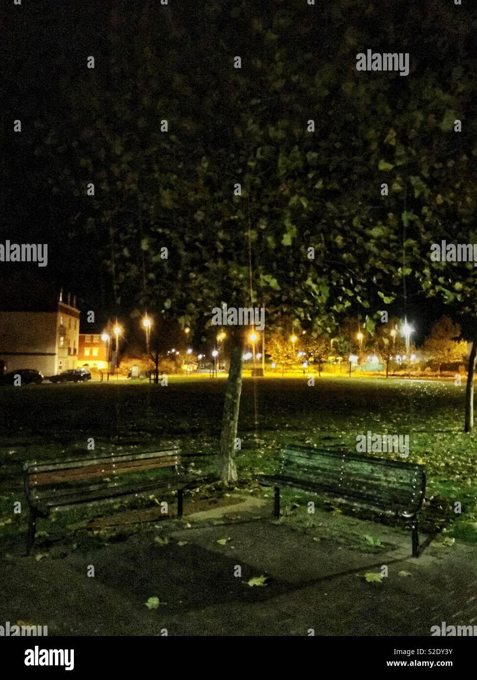 Leere Bänke in einem Park bei Nacht Stockfoto