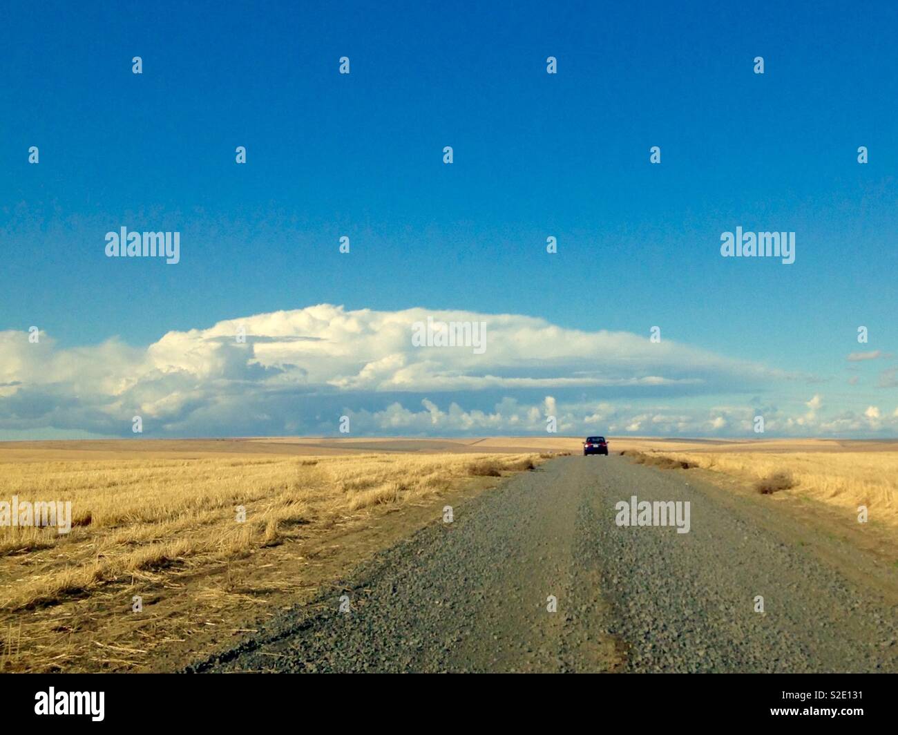 Auto fährt auf gerader Straße mit Weizenfeldern auf beiden Seiten im südöstlichen Staat Washington mit weiten Horizont, blauem Himmel, und ausdrucksstarke Wolken - Smartphone-aufgenommenes Stockfoto