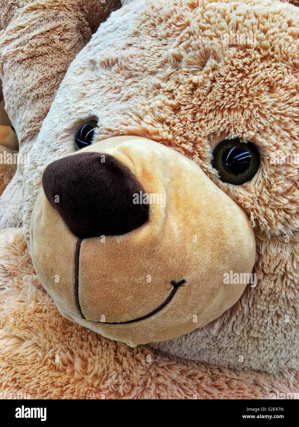 Lächelnde Gesicht von großer Teddybär Stockfoto