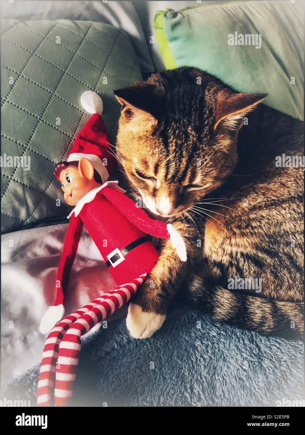 Naughty elf mit tabby Katze. Stockfoto