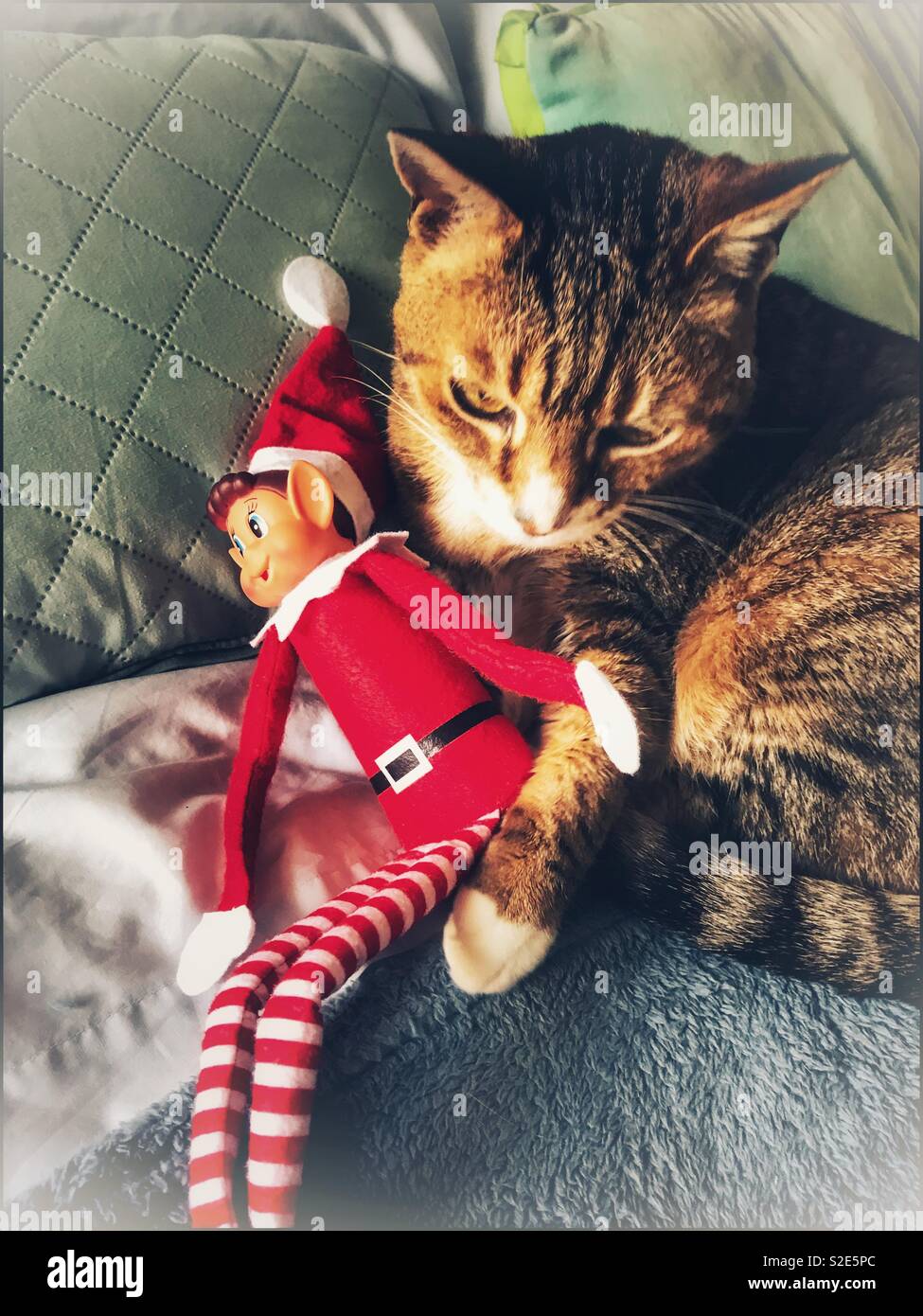 Naughty elf mit tabby Katze. Stockfoto