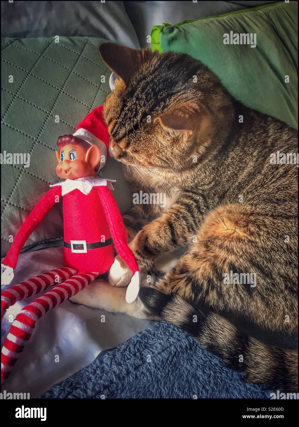 Tabby Katze und freche Elfe. Stockfoto