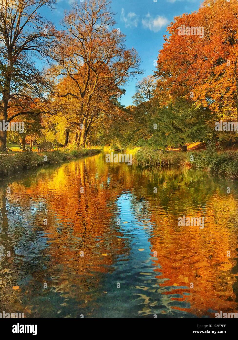 Herbstfarben in Bäumen und Kanal - Smartphone-aufgenommenes Stockfoto