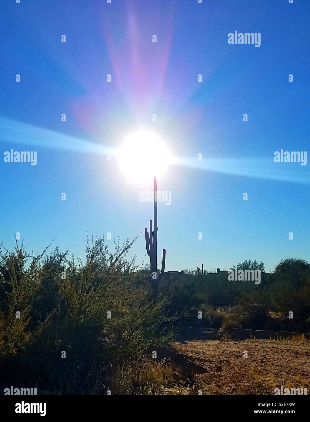 Wüste Licht Stockfoto