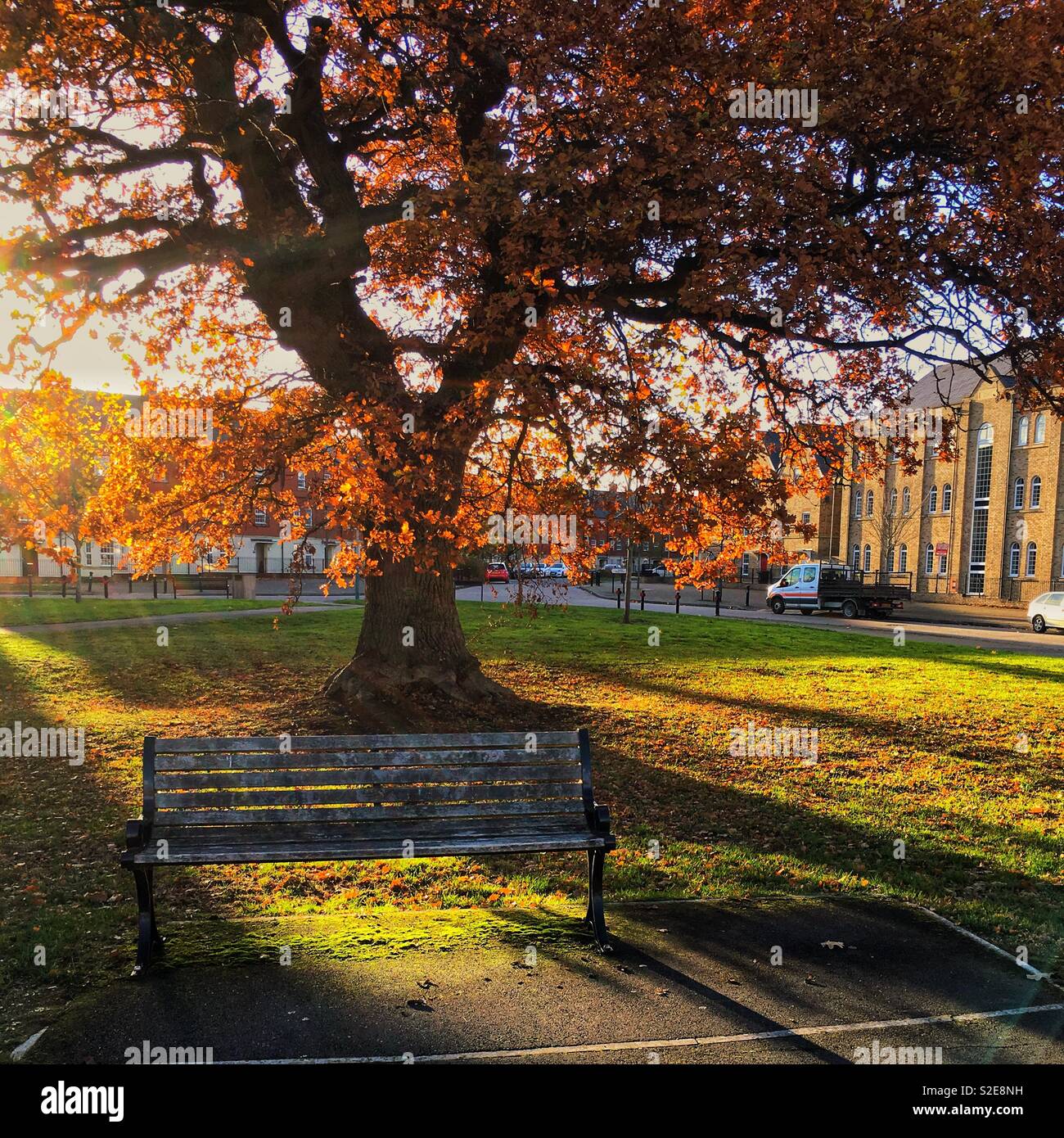 Geringe Sonnenlicht durch Herbst Eiche mit leeren Bank Stockfoto