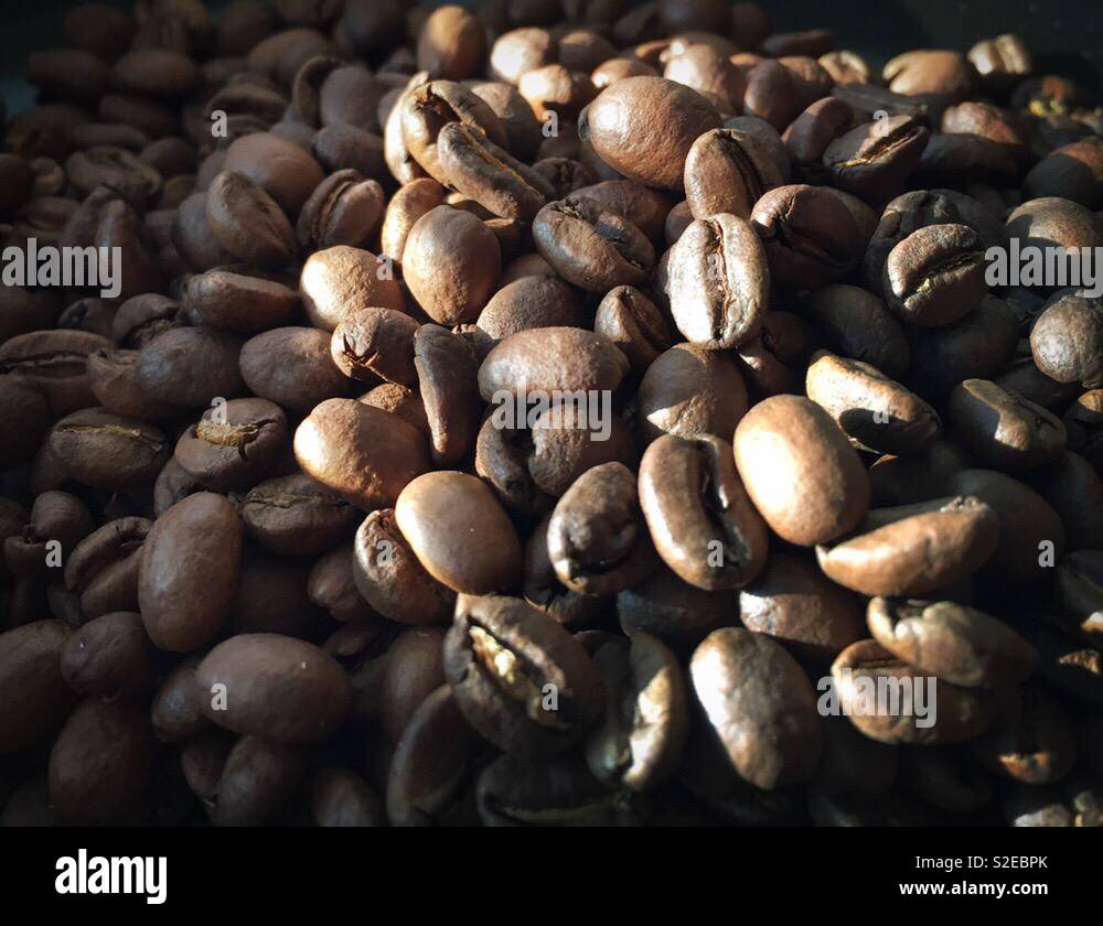 Kaffeebohnen reichen Geschmack braten - Smartphone-aufgenommenes Stockfoto