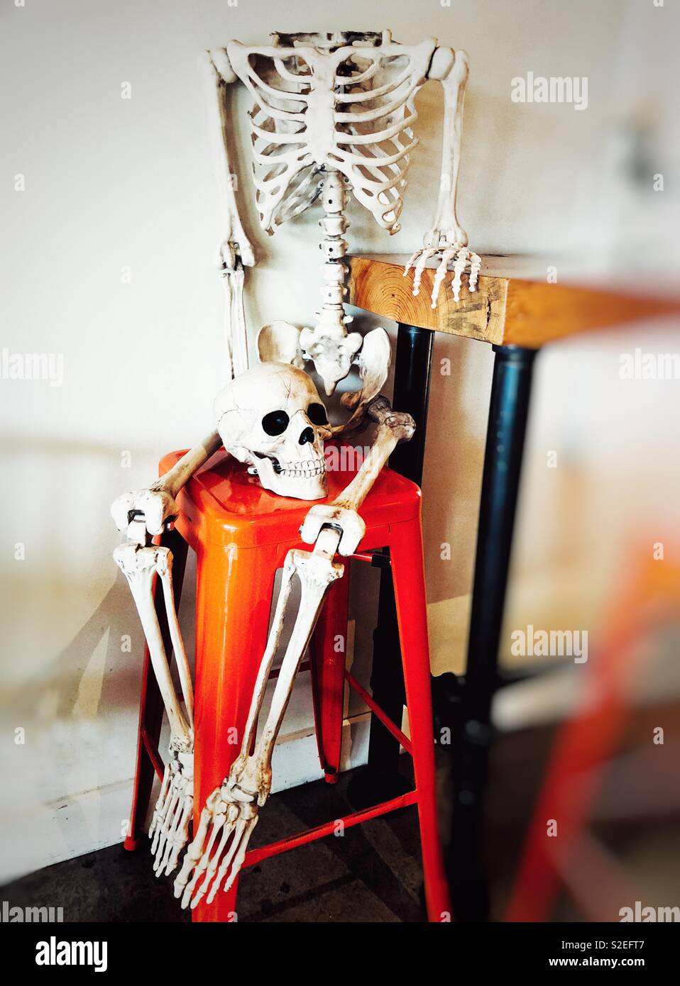 Skelett sitzt an der Bar auf orange Hocker Stockfoto