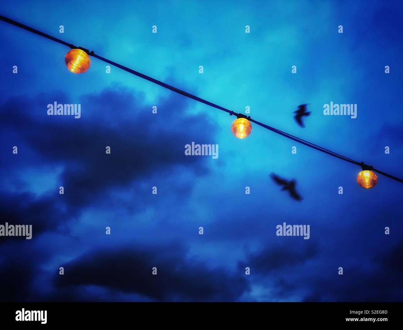 Zwei Vögel (Möwen) gegen ein Brütendes Abendhimmel mit leuchtend gelben Leuchten. Stockfoto