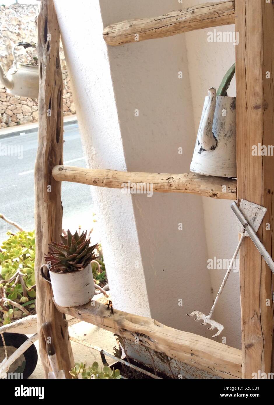 Utensilien angeordnet auf einem urigen Leiter einschließlich eine sukkulente Pflanze, alte Teekannen und eine Gabel Stockfoto