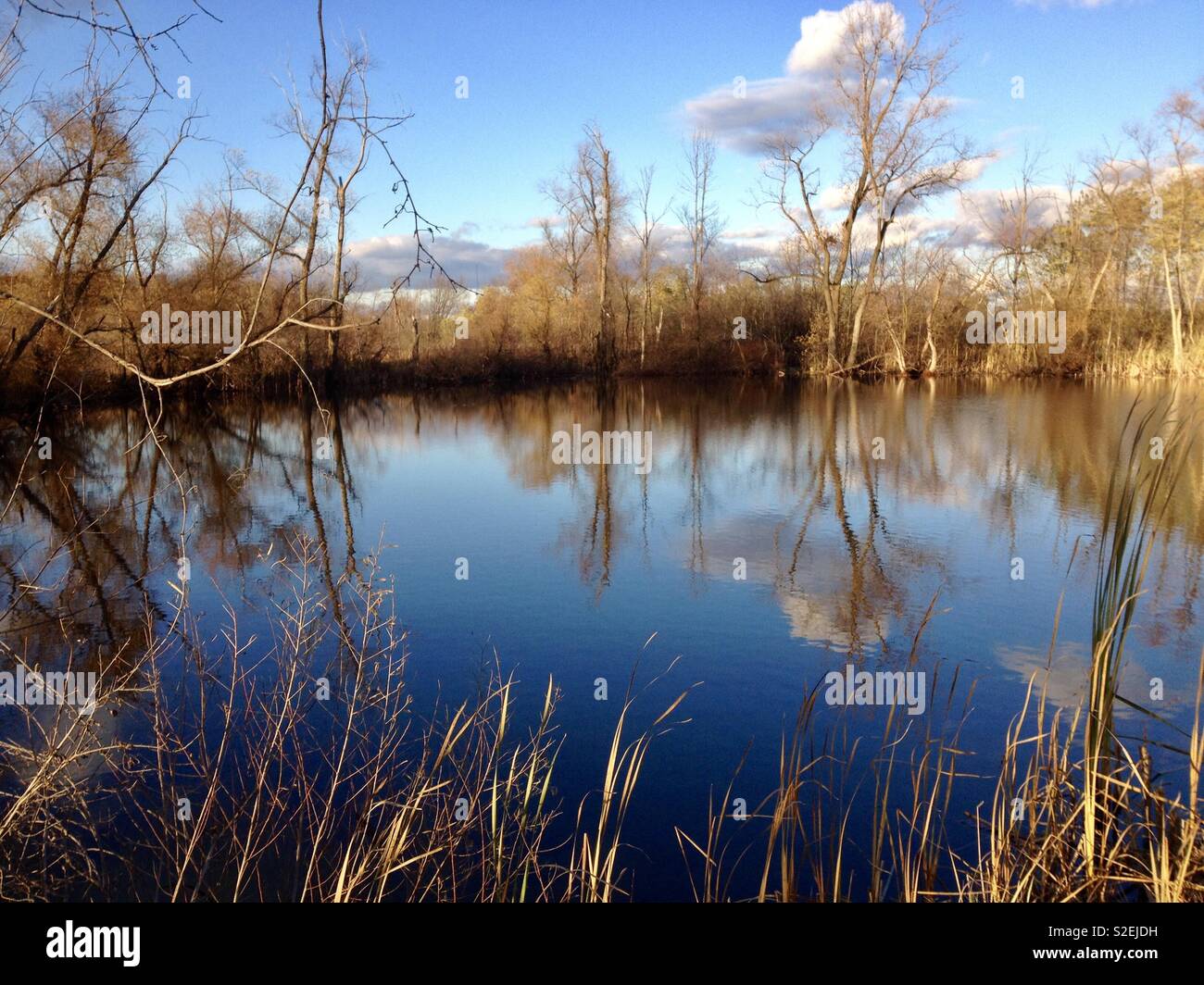 Teich mit reflexionen Fotos und Bildmaterial in hoher Auflösung Alamy