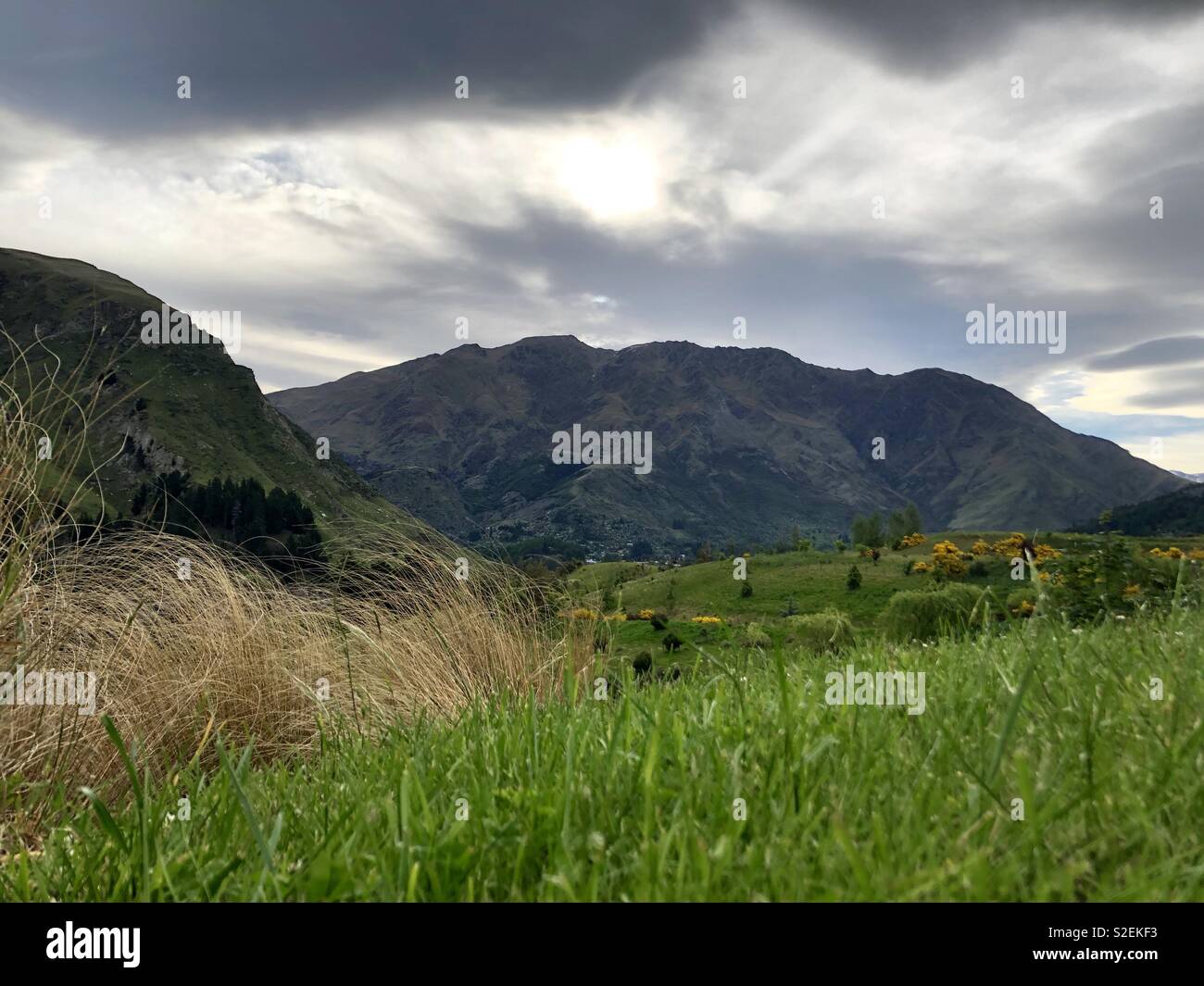 Queenstown Neuseeland. Frühling am Nachmittag - Smartphone-aufgenommenes Stockfoto