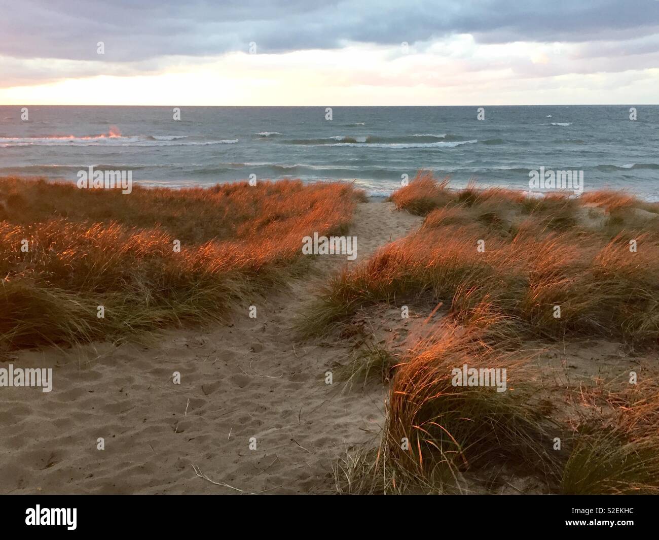 Sunlit Gräser bei Sonnenuntergang Oval Strand Stockfoto