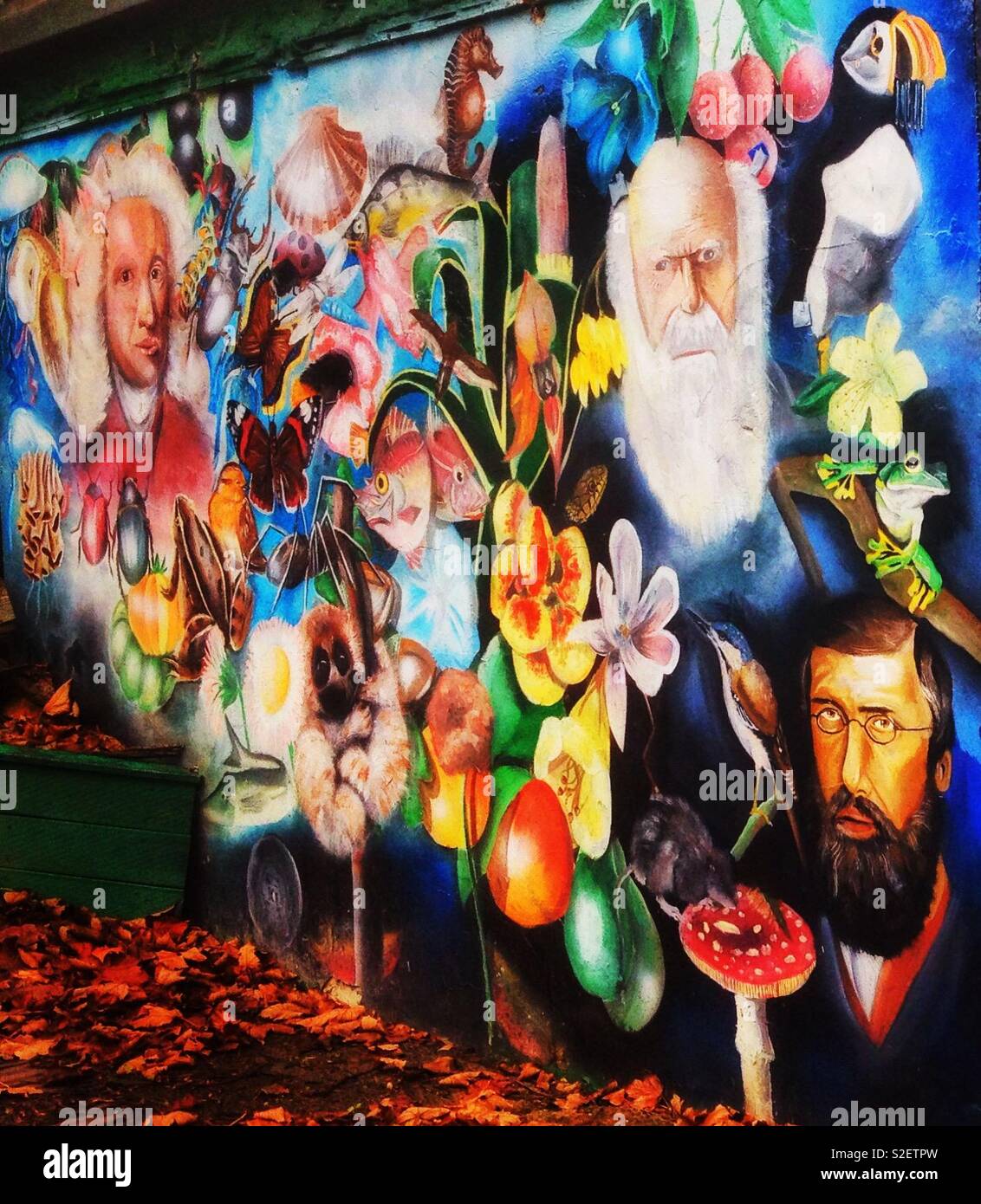 Farbenfrohe Wandgemälde auf dem neuen Blatt pädagogische Gärten Gemeinschaft Projekt Gebäude, London, Darstellung von drei namhafte Naturforscher Stockfoto